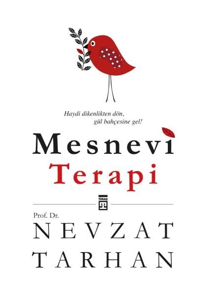 Mesnevi Terapi