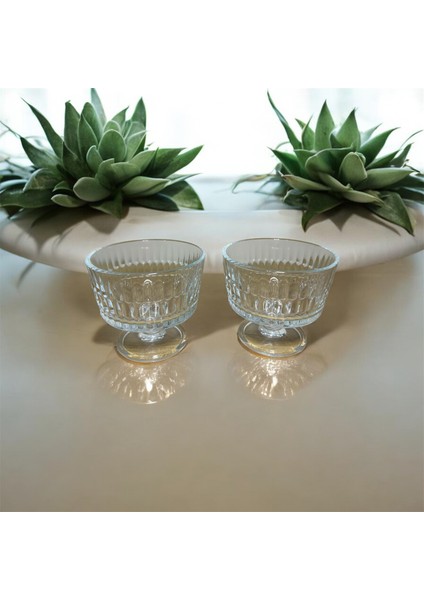 Rain Dondurma Kasesi 2li 240 cc fırsatları