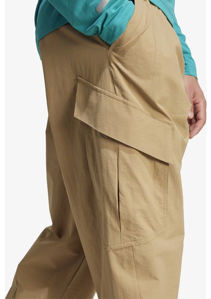 Terrex Xploric Kargo Erkek Kahverengi Yürüyüş Eşofman Altı.-