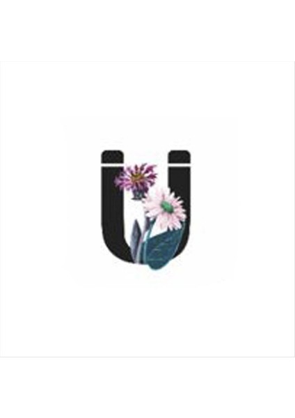 Lvsqvr Harf Figürlü Kaktüs Sukulent Saksısı-Ü