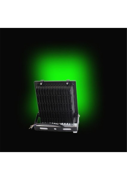 Pelsan Tio 30 W Yeşil LED Projektör 115948 fiyatları