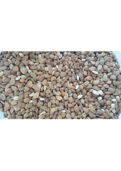 Acı Kayısı Çekirdeği 25 kg