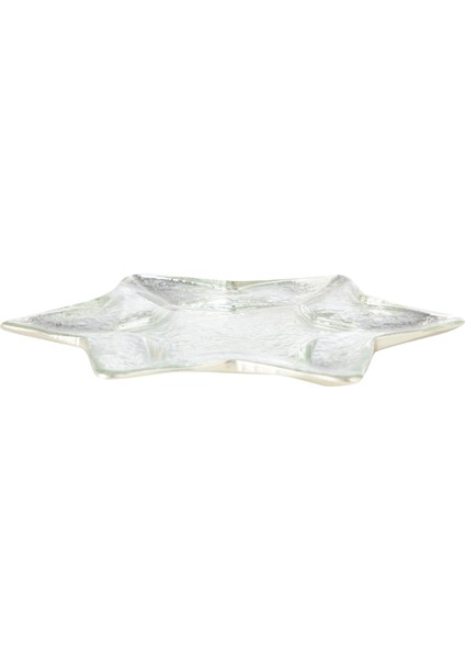 Sılver Star Tabak 19CM modelleri