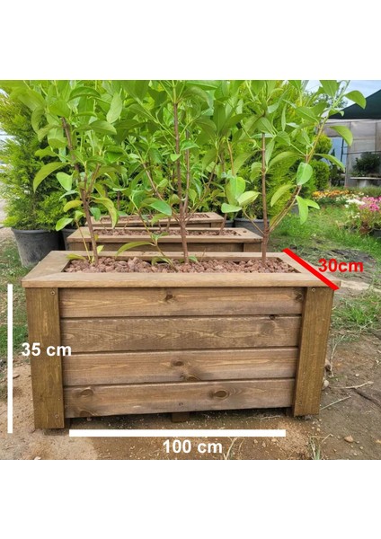 -Ceviz Renk Saksı-Ahşap SAKSI-30*100-35H
