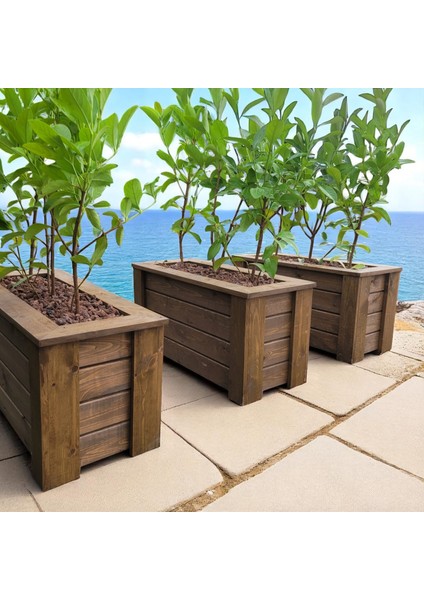 -Ceviz Renk Saksı-Ahşap SAKSI-30*100-35H indirimleri