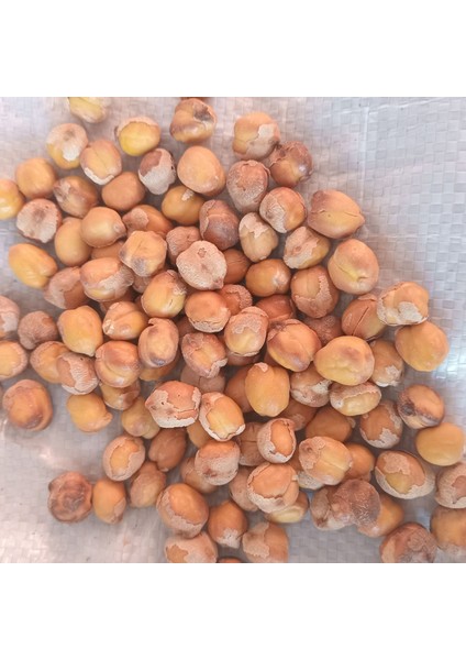 Ağın Leblebisi 20 kg fırsatları