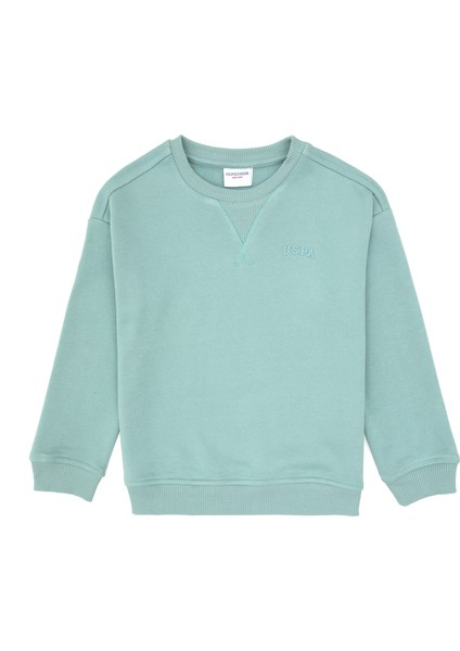Erkek Çocuk Mint Sweatshirt 50313829-VR090