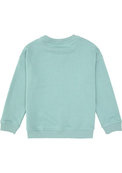 Erkek Çocuk Mint Sweatshirt 50313829-VR090 fiyatları