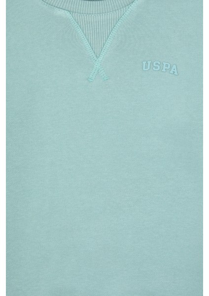 Erkek Çocuk Mint Sweatshirt 50313829-VR090 modelleri