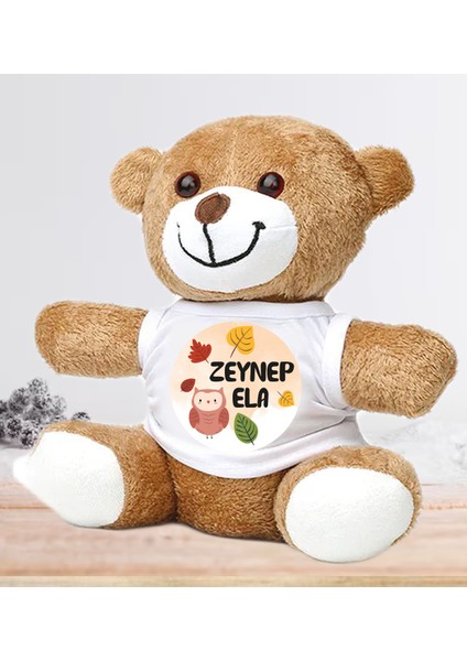 Kişiye Özel Bebek Kapı Süsü (Peluş Ayıcık Hediyeli) – Baby Shower / Hastane Odası fiyatları