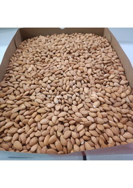 Kayısı Çekirdeği 25 kg