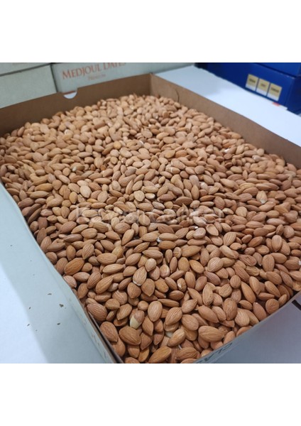 Kayısı Çekirdeği 25 kg fırsatları