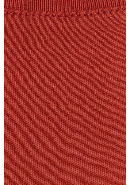 Unisex Relax Fit Rahat Kesim %100 Pamuk Yumuşak Dokulu Hafif Kalın Kiremit Bisiklet Yaka Tişört