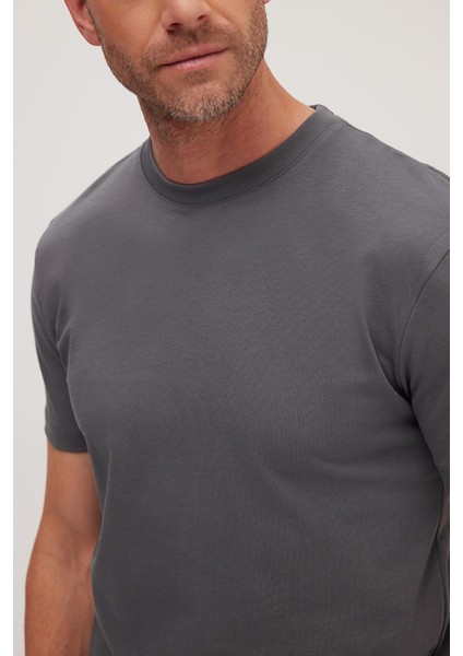 Erkek Regular Fit Klasik Kesim %100 Pamuk Bisiklet Yaka Füme Tişört modelleri