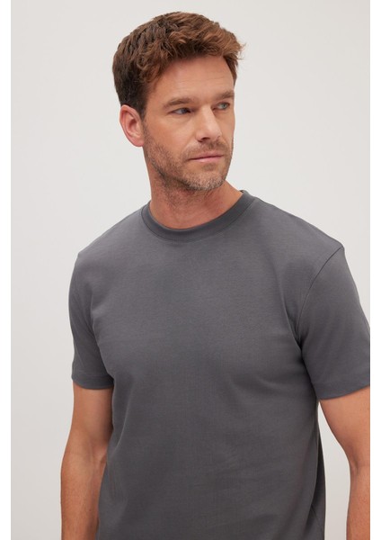 Erkek Regular Fit Klasik Kesim %100 Pamuk Bisiklet Yaka Füme Tişört indirimleri