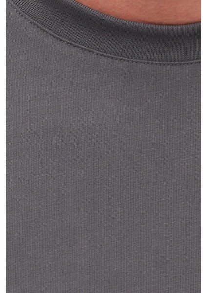 Erkek Regular Fit Klasik Kesim %100 Pamuk Bisiklet Yaka Füme Tişört