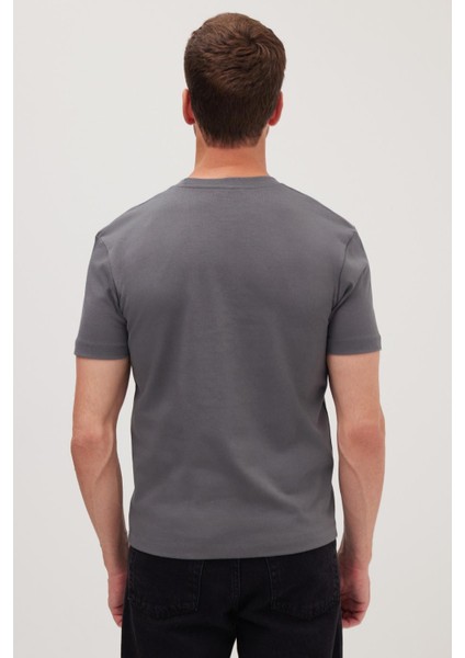 Erkek Regular Fit Klasik Kesim %100 Pamuk Bisiklet Yaka Füme Tişört