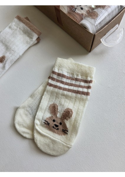 %100 Pamuk Bebek Soket Kutulu Çorap 5'li Set modelleri