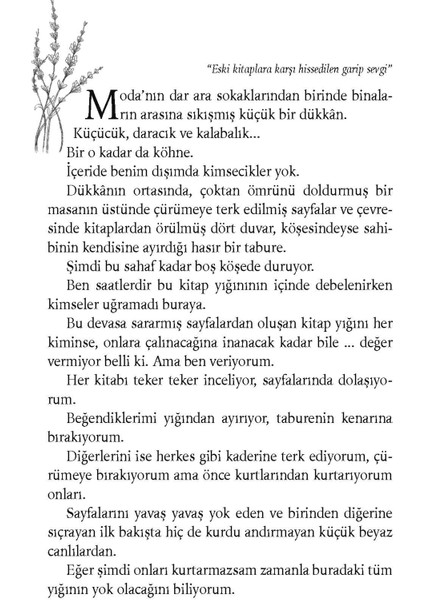 Ay Bizi Terk Etmeden - Elif Duru Koçal