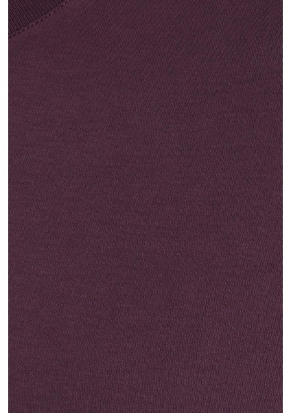 Unisex Relax Fit Rahat Kesim %100 Pamuk Yumuşak Dokulu Hafif Kalın Eflatun Bisiklet Yaka Tişört