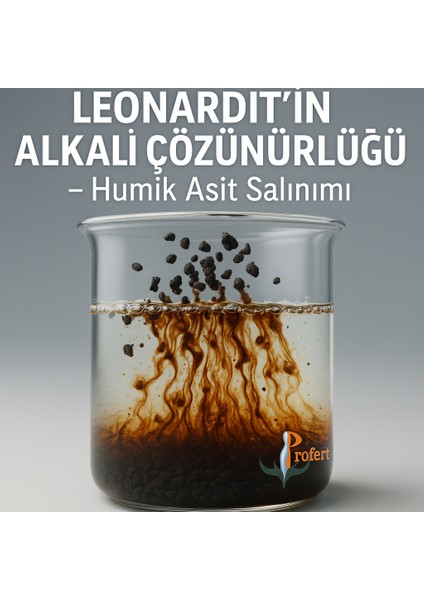 Symbio Leo Granül Leonardit – %20 Organik Madde %20 Hümik Asit (Tescilli) | Gerçekte %50 Organik Madde %40 Hümik + Fülvik Asit | Düşük pH lı Hızlı Etkili Toprak Düzenleyici (25 kg) modelleri