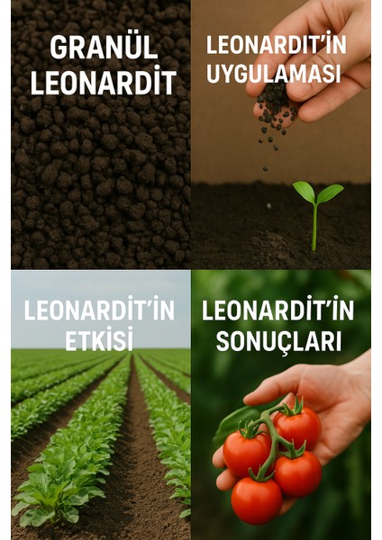 Symbio Leo Granül Leonardit – %20 Organik Madde %20 Hümik Asit (Tescilli) | Gerçekte %50 Organik Madde %40 Hümik + Fülvik Asit | Düşük pH lı Hızlı Etkili Toprak Düzenleyici (25 kg) fırsatları