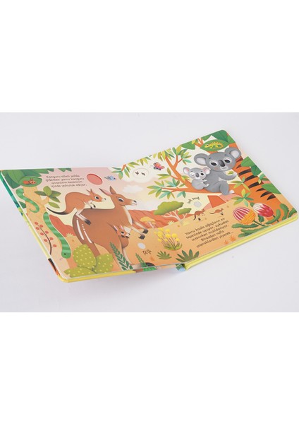 Yavru Hayvanların Sesleri (Resimli ve Sesli) - Sam Taplin indirimleri