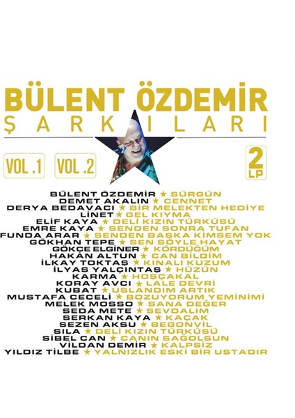 Bülent Özdemir Şarkıları - Çeşitli Sanatçılar (2 Plak)