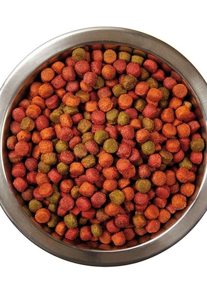 Yetişkin Kedi Kuru Mama 1,5 Kg x 12 | Tavuklu Gurme | Ekonomik Çoklu Paket indirimleri