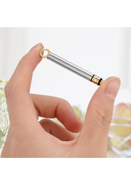 3 Adet Taşınabilir Titanyum Kürdan, Koruyucu Tutucu ile Metal Kürdan, Mini Paslanmaz Çelik Kürdan, Gümüş (Yurt Dışından) modelleri