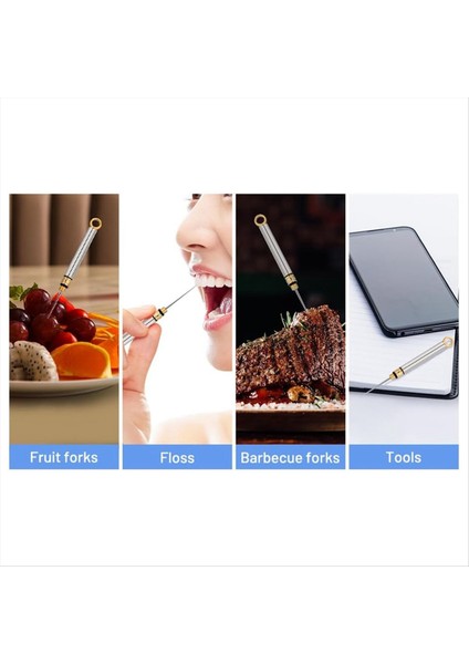 3 Adet Taşınabilir Titanyum Kürdan, Koruyucu Tutucu ile Metal Kürdan, Mini Paslanmaz Çelik Kürdan, Gümüş (Yurt Dışından) fırsatları