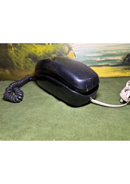 1960 Lar Western Electric Çevirmeli Masa Telefonu modelleri