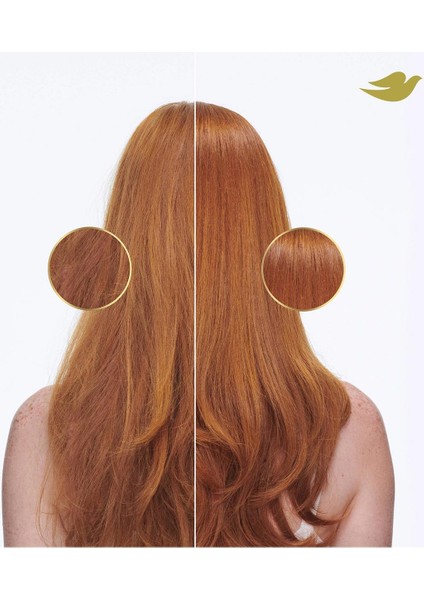 Damage Therapy Günlük Nemlendirici Şampuan 828ML indirimleri