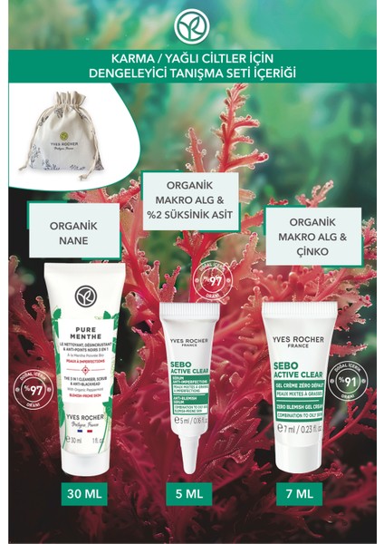 Karma/yağlı Cilt- Arındırıcı ve Yağ Dengeleyici Bakım Rutini Tanışma Seti fiyatları