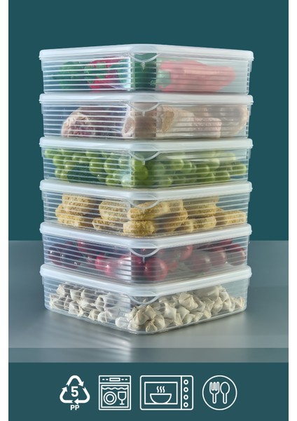 3 Adet 1,6 Litre Buzdolabı Içi Düzenleyici Saklama Kabı -Buzluk Saklama Kabı modelleri