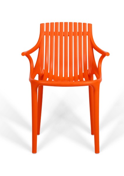 Monaco Lüks Cafe ve Balkon Sandalyesi 2'li