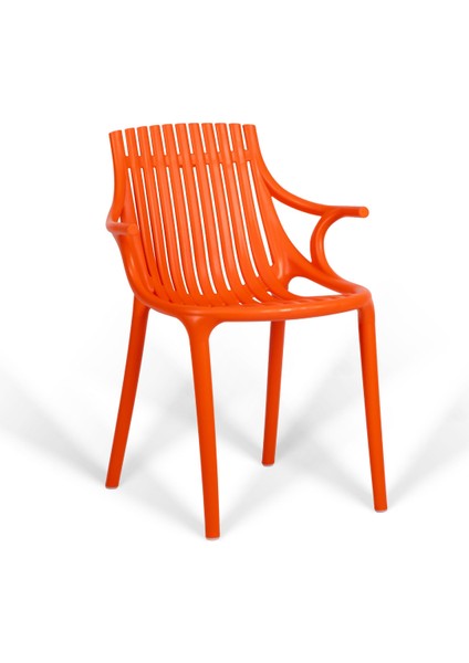 Monaco Lüks Cafe ve Balkon Sandalyesi 2'li fiyatları