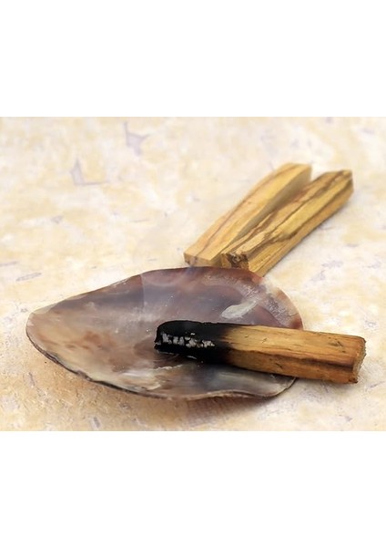 Wish Kit Placuna Enerji Başlangıç Seti : Palo Santo Tütsü ve Placuna Deniz Kabuğu Tütsülük fiyatları