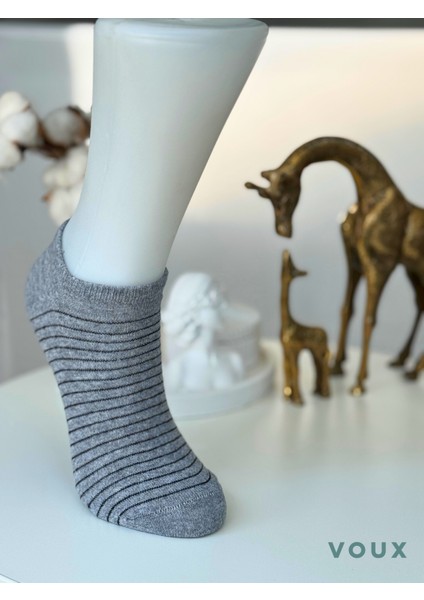 Pamuklu Çizgili Çok Renkli Kadın Sneaker Çorap 4 'lü