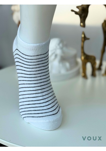 Pamuklu Çizgili Çok Renkli Kadın Sneaker Çorap 4 'lü modelleri