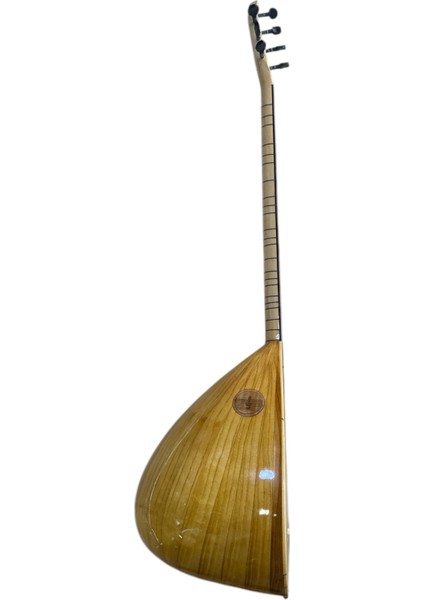 Orta Seviye Uzun Sap Bağlama