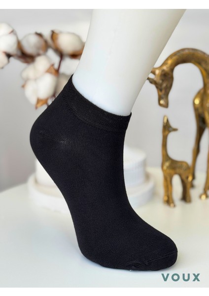 Bambu Dikişsiz Çok Renkli Kadın Sneaker Çorap 4 'lü fiyatları