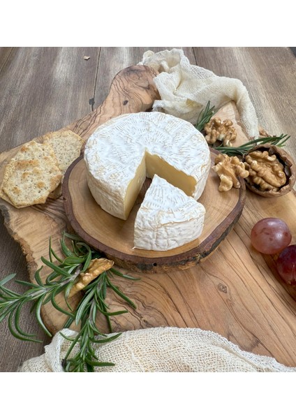 Camembert Peyniri 125 gr fiyatları