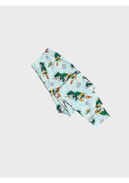 Erkek Çocuk Pamuklu Yeşil Beyaz Dinozor Desenli Mevsimlik Uzun Kollu Pijama Takımı indirimleri