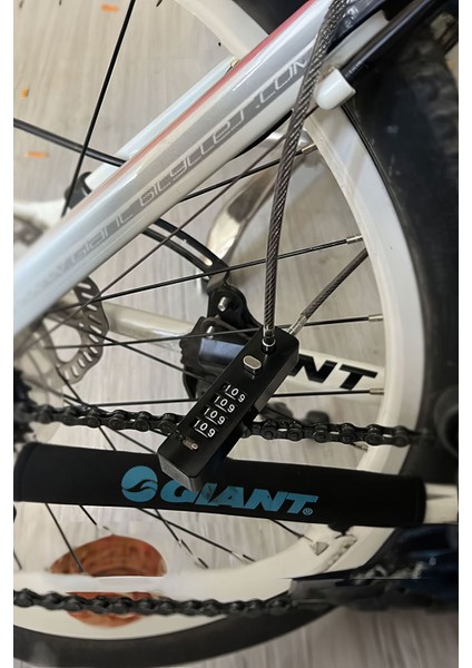 Siyah 4 Haneli Şifreli 30 cm Sıfırlanabilir Dolap Bagaj Kilidi CIN542SY modelleri