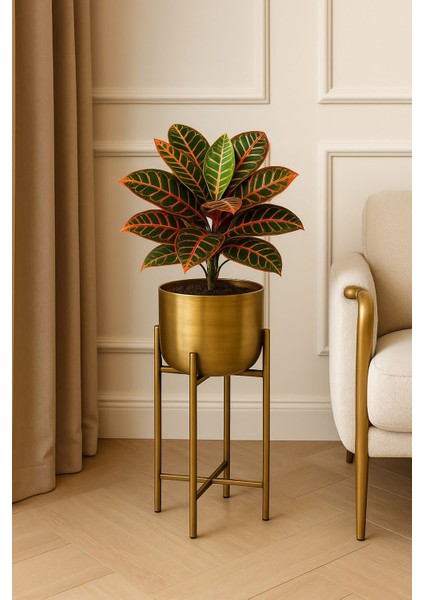 45 cm Gold Eskitme Saksı Çap 20 cm