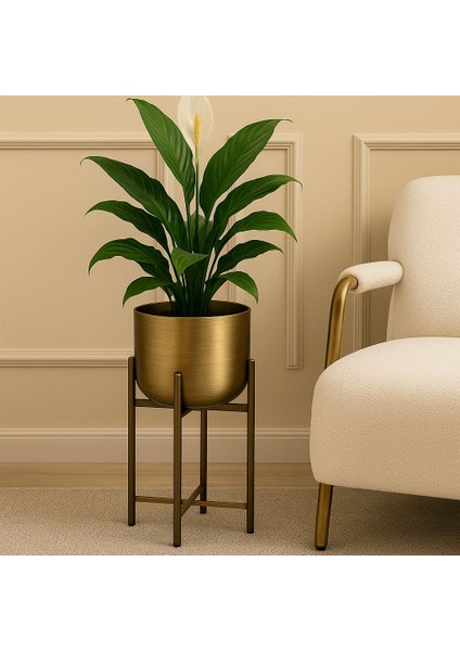 45 cm Gold Eskitme Saksı Çap 20 cm fiyatları