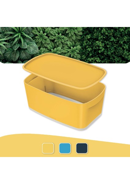 Cosy Mybox® Kapaklı Küçük Saklama Kutusu fiyatları