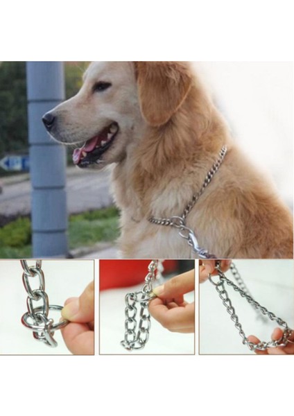 Köpekler Için Isimlikli Zincir Tasma 45 Cm modelleri