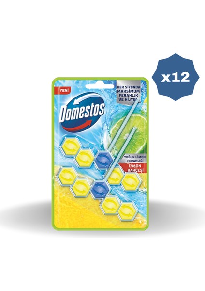 Wc Blok Duopack Limon Bahçesi 100 gr - (12 Adet)